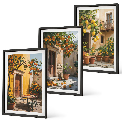 Triptykon billeder med ramme Citrusfrugter Gårdhaveplanter