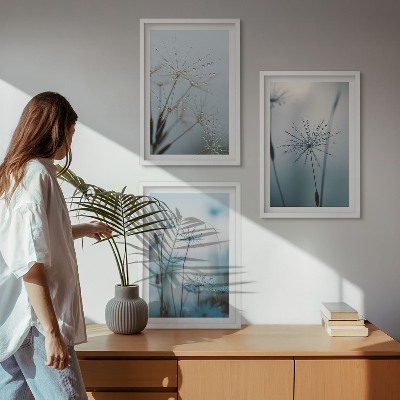 Billedvæg inspiration Mælkebøtter med vanddråber