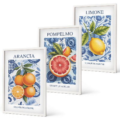 Triptykon billeder med ramme Citrusfrugter Vintage Illustrationer