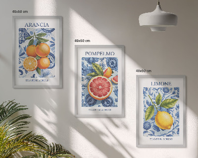 Triptykon billeder med ramme Citrusfrugter Vintage Illustrationer
