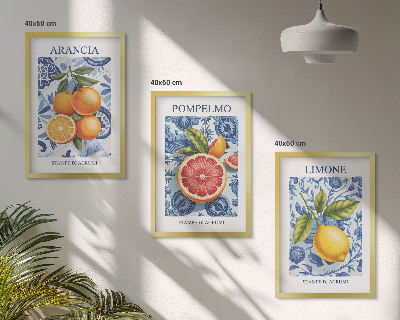 Triptykon billeder med ramme Citrusfrugter Vintage Illustrationer