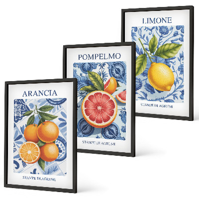 Triptykon billeder med ramme Citrusfrugter Vintage Illustrationer