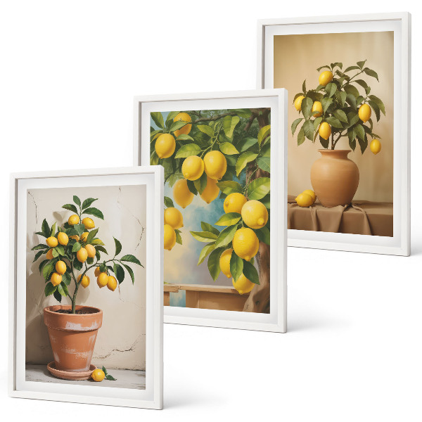 Billedvæg inspiration Citrontræer i en potte og en vase