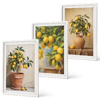 Billedvæg inspiration Citrontræer i en potte og en vase