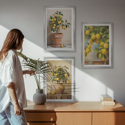 Billedvæg inspiration Citrontræer i en potte og en vase