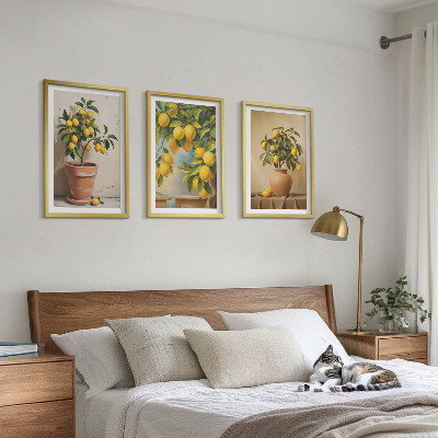 Billedvæg inspiration Citrontræer i en potte og en vase