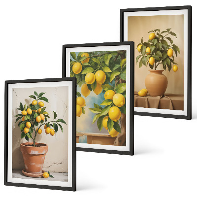 Billedvæg inspiration Citrontræer i en potte og en vase