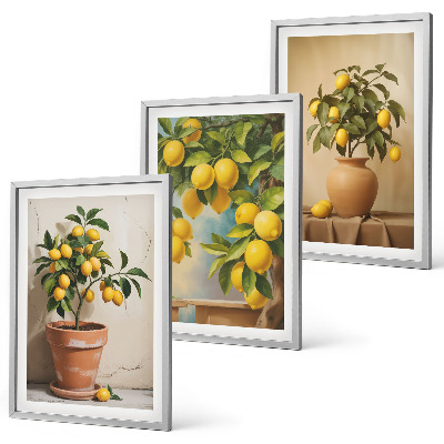 Billedvæg inspiration Citrontræer i en potte og en vase
