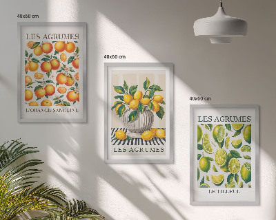 Triptykon billeder med ramme Citrusfrugter i farverige udgaver