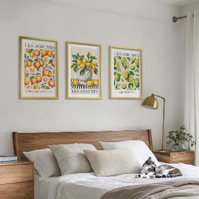 Triptykon med citrusfrugter farverige billeder med ramme