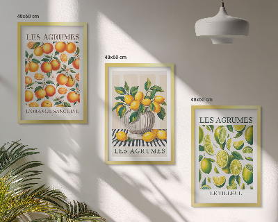 Triptykon billeder med ramme Citrusfrugter i farverige udgaver