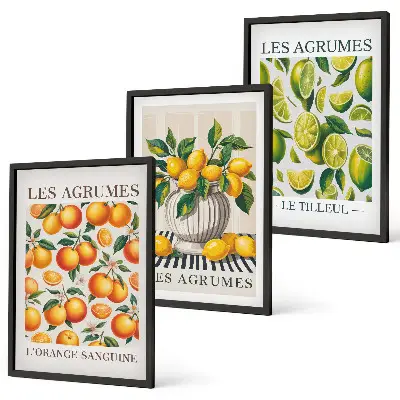 Triptykon med citrusfrugter farverige billeder med ramme