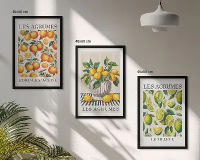 Triptykon med citrusfrugter farverige billeder med ramme