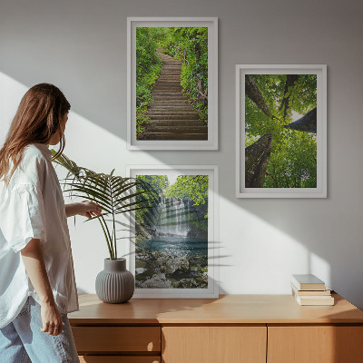Billedvæg inspiration sti skov vandfald vegetation