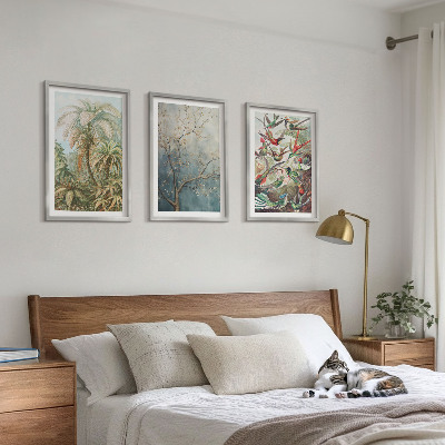 Triptykon billeder med ramme Tropiske planter fugle natur