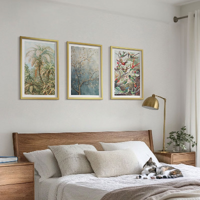 Triptykon billeder med ramme Tropiske planter fugle natur