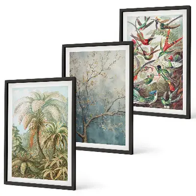 Triptykon billeder med ramme med motiv af tropiske planter, fugle og natur