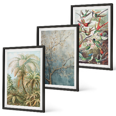Triptykon billeder med ramme Tropiske planter fugle natur