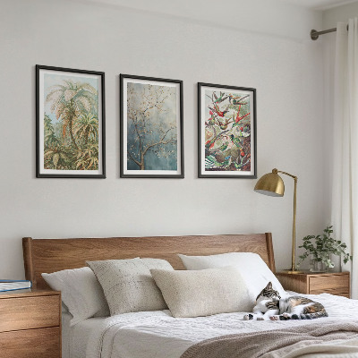 Triptykon billeder med ramme Tropiske planter fugle natur