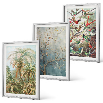 Triptykon billeder med ramme Tropiske planter fugle natur