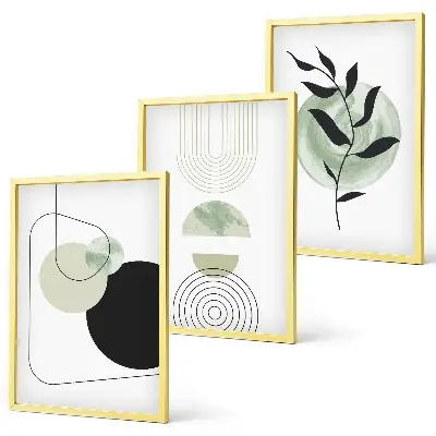 Abstrakte planteformer triptykon med ramme