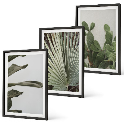 Billedsæt til soveværelset Blade af tropiske planter i pastel