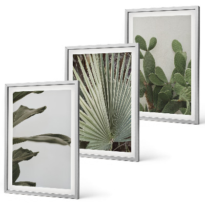 Billedsæt til soveværelset Blade af tropiske planter i pastel