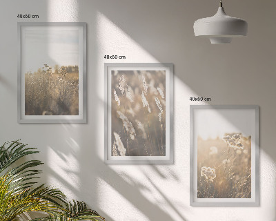 Billedvæg inspiration Landskabsgræs blomster varme