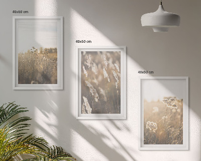 Billedvæg inspiration Landskabsgræs blomster varme