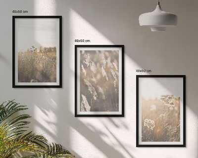 Billedvæg inspiration Landskabsgræs blomster varme