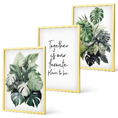 Triptykon billeder med ramme Grønne blade af tropiske planter