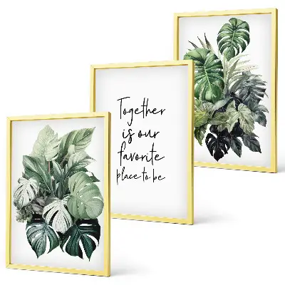 Grønne blade af tropiske planter triptykon med ramme