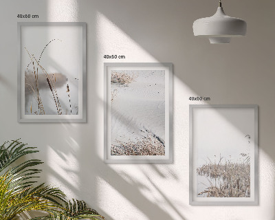 Billedvæg inspiration Vandplanter om sommeren