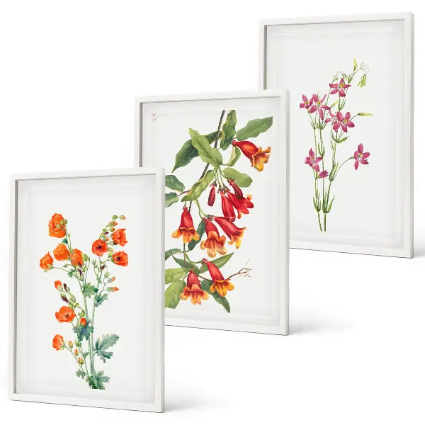 Vintage blomstermaleri inspiration til billedvæg