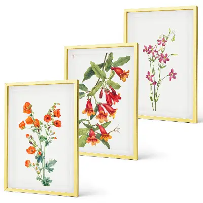 Vintage blomstermaleri inspiration til billedvæg