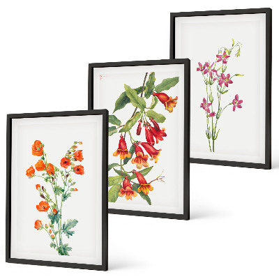 Billedvæg inspiration Vintage retro blomstermaleri