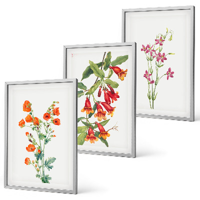 Billedvæg inspiration Vintage retro blomstermaleri