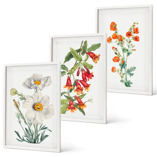 Triptykon billeder med ramme med retro blomsterarrangementer