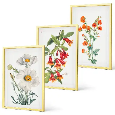 Triptykon billeder med ramme med retro blomsterarrangementer