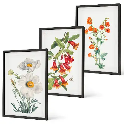 Triptykon billeder med ramme med retro blomsterarrangementer
