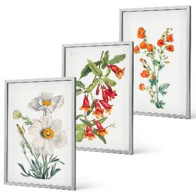 Triptykon billeder med ramme med retro blomsterarrangementer