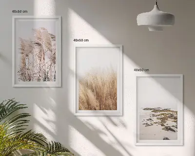 Triptykon med pampasgræs og bohemestrand billeder med ramme