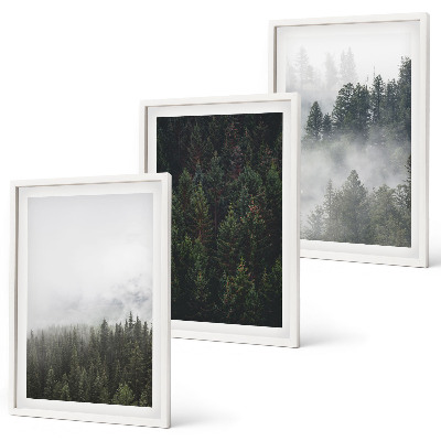 Triptykon billeder med ramme Grønne skove tåge natur