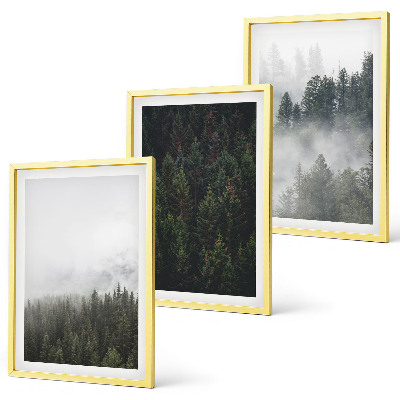 Triptykon billeder med ramme Grønne skove tåge natur