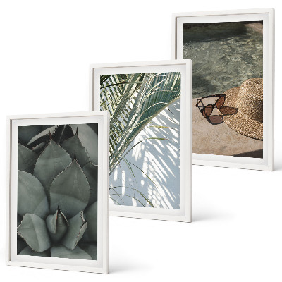 Triptykon billeder med ramme Tropiske planter til ferien