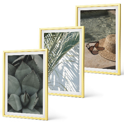 Triptykon billeder med ramme Tropiske planter til ferien