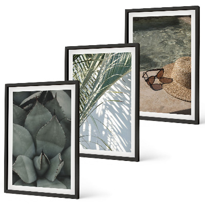 Triptykon billeder med ramme Tropiske planter til ferien
