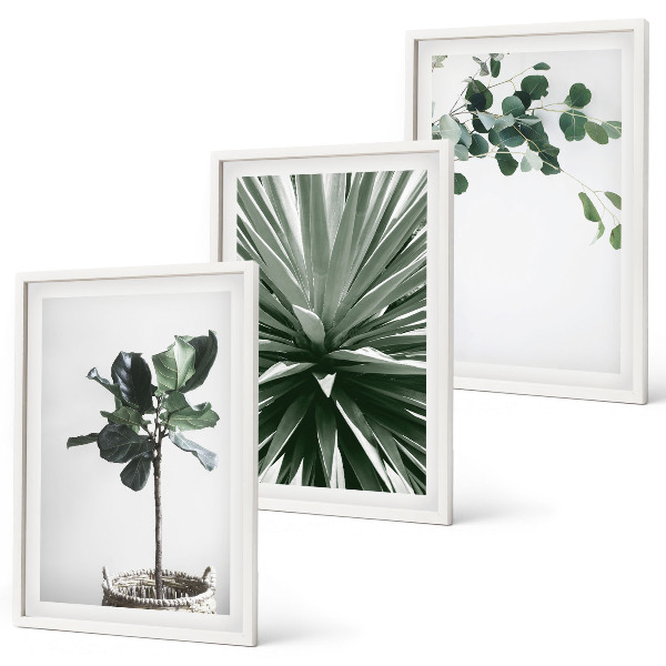 Billedvæg inspiration Grønne planter minimalisme