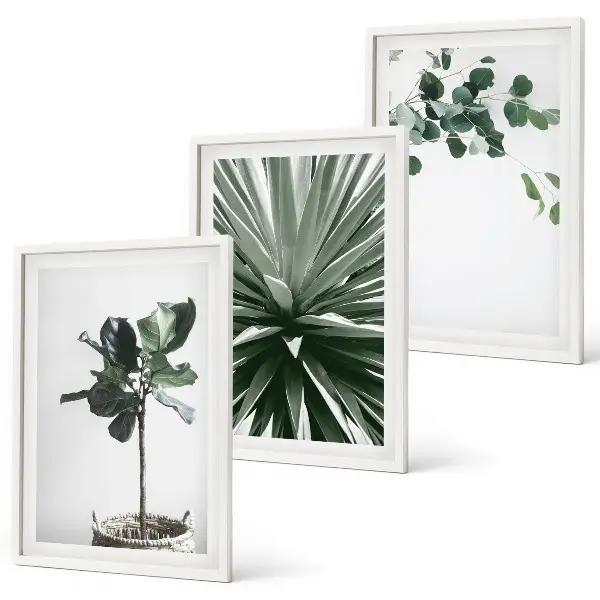 Billedvæg inspiration med grønne planter i minimalistisk stil