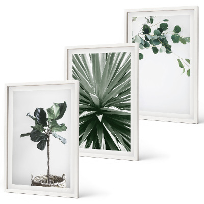 Billedvæg inspiration Grønne planter minimalisme